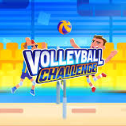 Volleyball Challenge